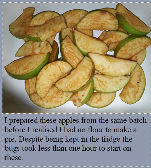 Sliced Apples